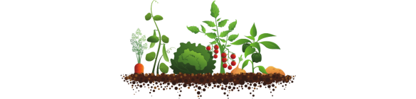 Plants/Crops