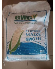 Hybrid maize seeds