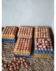 Crates of Eggs small size