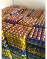 Crates of Eggs medium size 