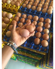Crates of Jumbo Eggs
