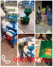 Egusi Melon peeling machine now available in Nigeria 