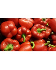 Red Bell pepper (Tatashe)