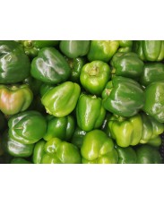 Green Bell Pepper (Tatashe)