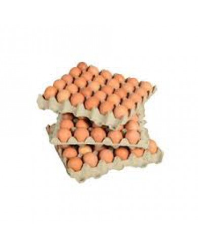 Crate of Eggs (Medium)