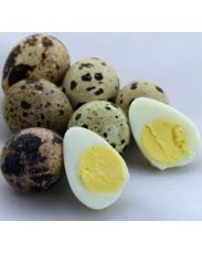 HEALTHY, FRESH AND WELL PACKAGED QUAIL EGGS
