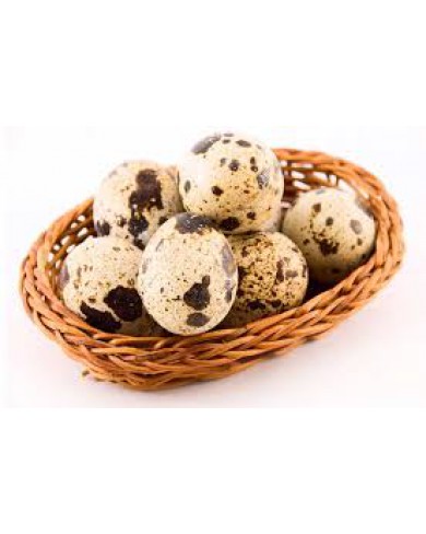 HEALTHY, FRESH AND WELL PACKAGED QUAIL EGGS