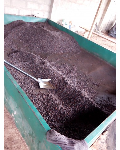 Palm Kernel products