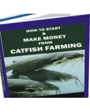 Manual For Fish Feed Formulation 