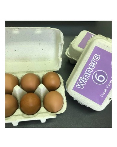 Egg Crates/Egg Trays