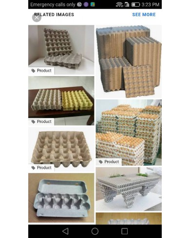 Egg Crates/Egg Trays