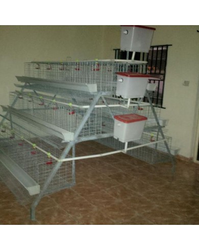 Imported Poultry Cages