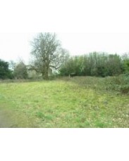 2 Acres of  Land 
