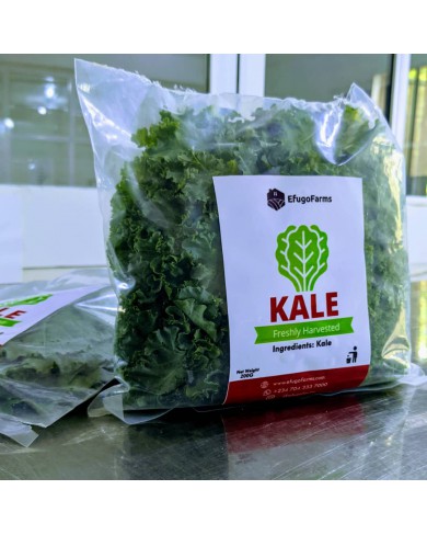 Efugo Farms Kale