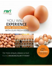 Eggs (Food Budget Nigeria)