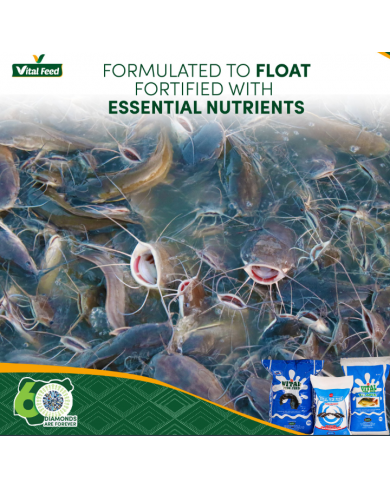 Vital Feed Poultry/Fish