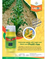 Lagon Pre-emergence Herbicide 
